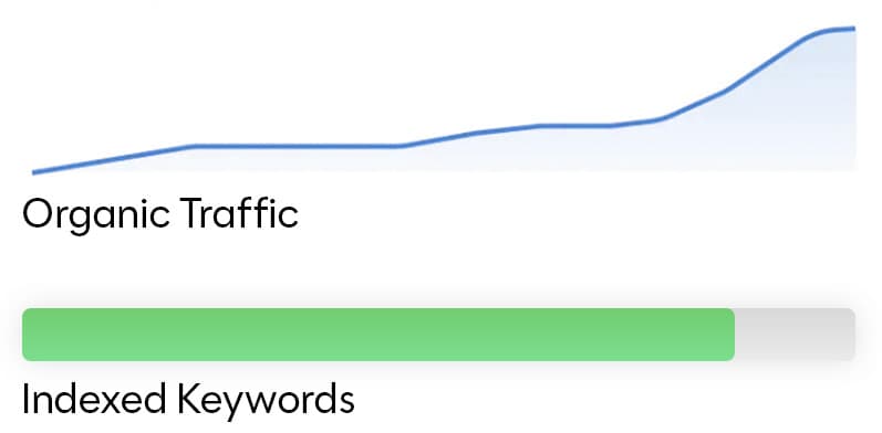 Local SEO optimization dashboard